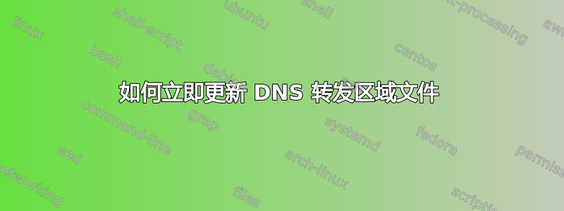 如何立即更新 DNS 转发区域文件