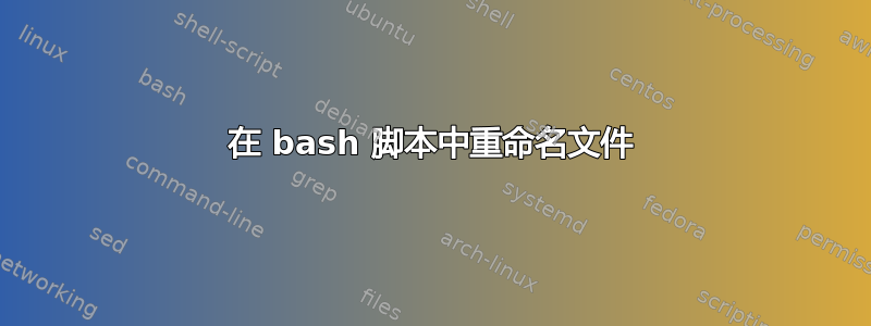 在 bash 脚本中重命名文件