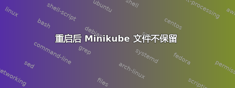 重启后 Minikube 文件不保留