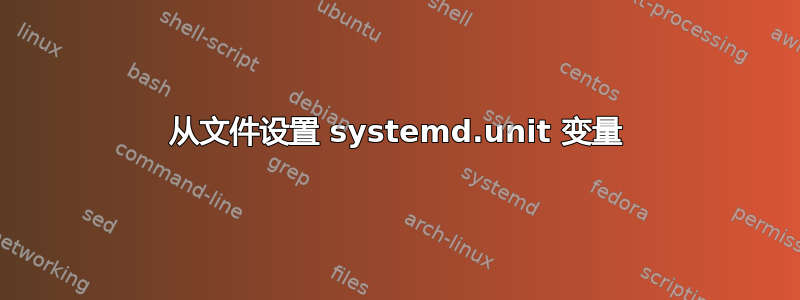 从文件设置 systemd.unit 变量