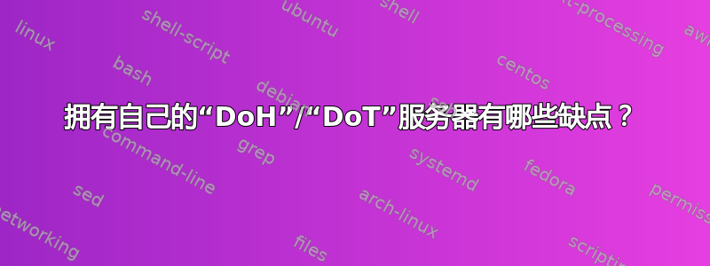 拥有自己的“DoH”/“DoT”服务器有哪些缺点？