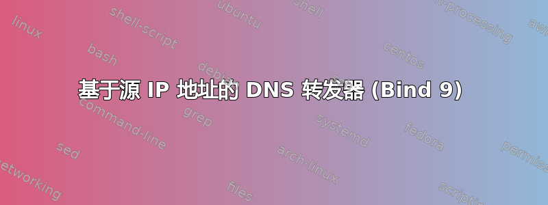 基于源 IP 地址的 DNS 转发器 (Bind 9)