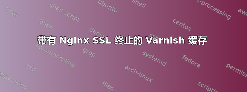 带有 Nginx SSL 终止的 Varnish 缓存