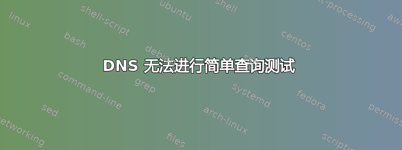 DNS 无法进行简单查询测试