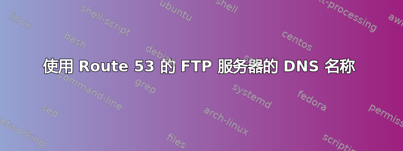 使用 Route 53 的 FTP 服务器的 DNS 名称