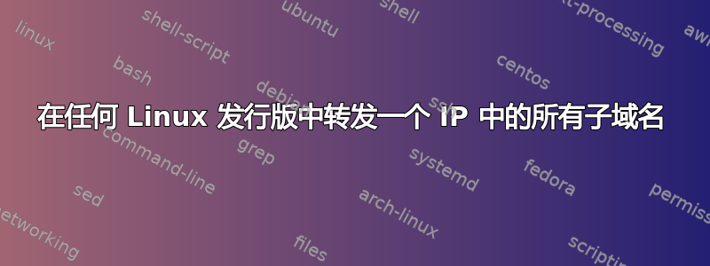 在任何 Linux 发行版中转发一个 IP 中的所有子域名