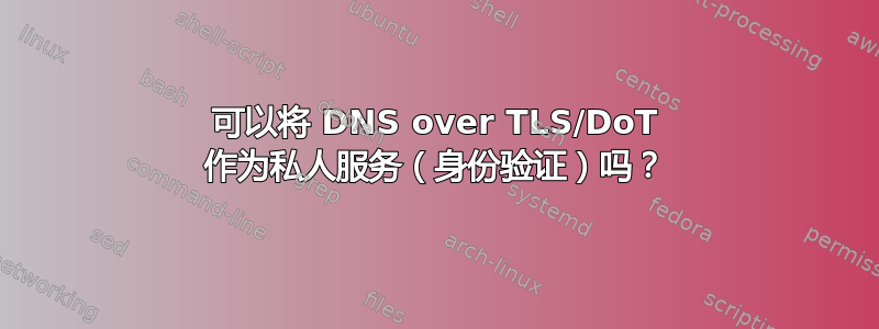 可以将 DNS over TLS/DoT 作为私人服务（身份验证）吗？