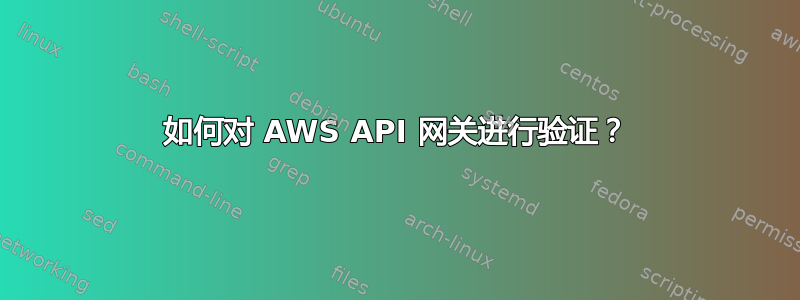 如何对 AWS API 网关进行验证？