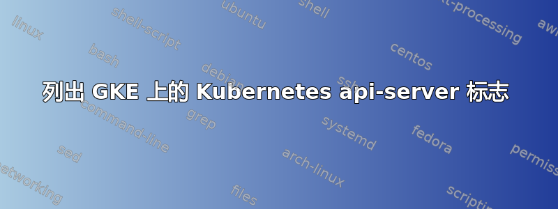 列出 GKE 上的 Kubernetes api-server 标志