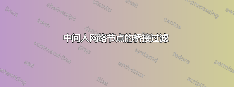 中间人网络节点的桥接过滤