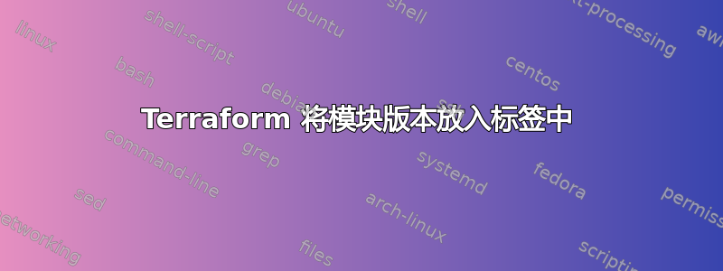 Terraform 将模块版本放入标签中