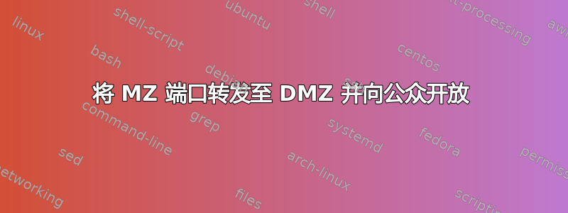 将 MZ 端口转发至 DMZ 并向公众开放