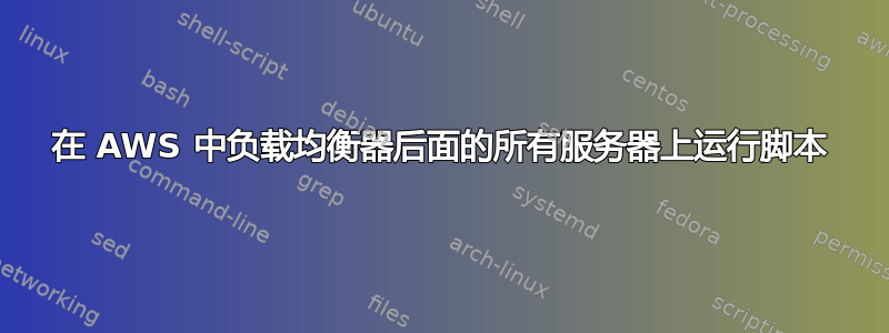 在 AWS 中负载均衡器后面的所有服务器上运行脚本