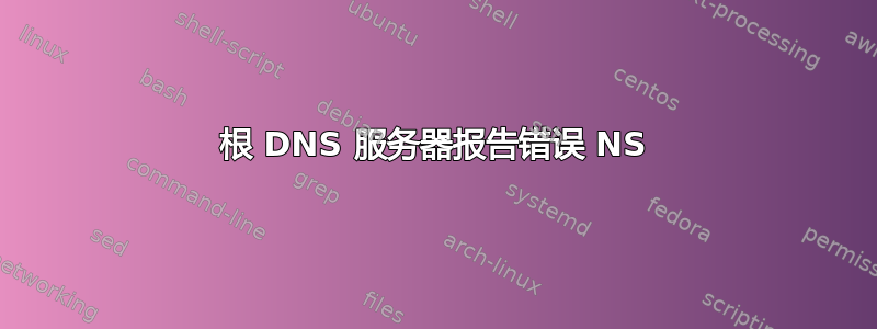 根 DNS 服务器报告错误 NS