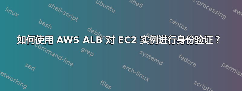 如何使用 AWS ALB 对 EC2 实例进行身份验证？