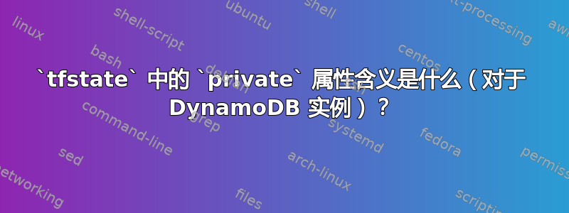 `tfstate` 中的 `private` 属性含义是什么（对于 DynamoDB 实例）？