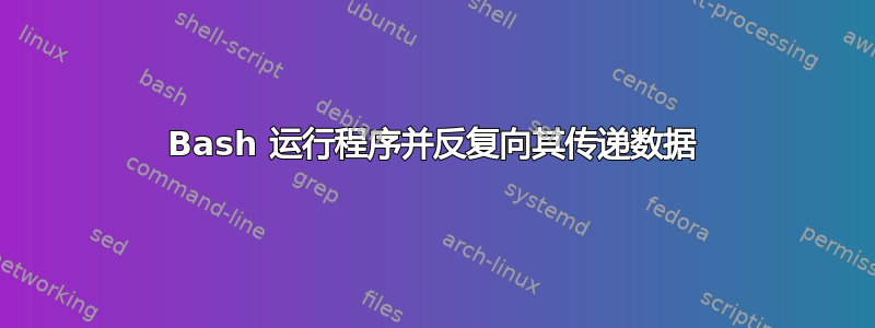 Bash 运行程序并反复向其传递数据