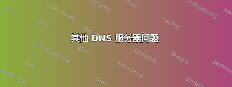 其他 DNS 服务器问题