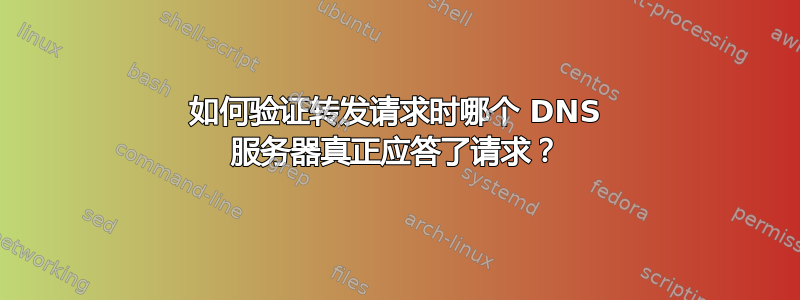 如何验证转发请求时哪个 DNS 服务器真正应答了请求？