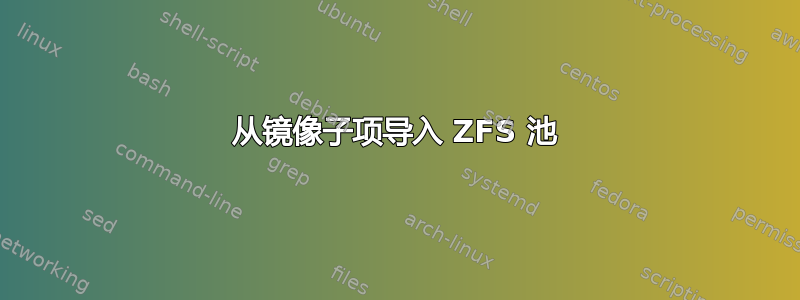 从镜像子项导入 ZFS 池