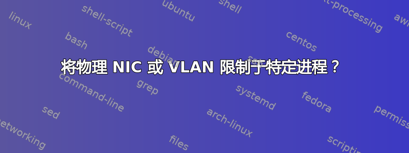 将物理 NIC 或 VLAN 限制于特定进程？