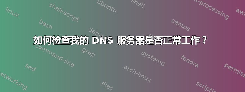 如何检查我的 DNS 服务器是否正常工作？