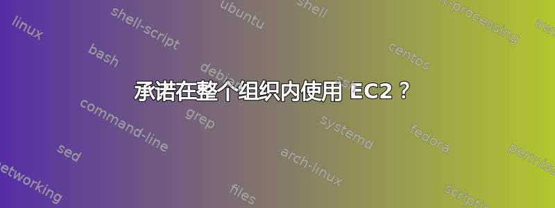 承诺在整个组织内使用 EC2？