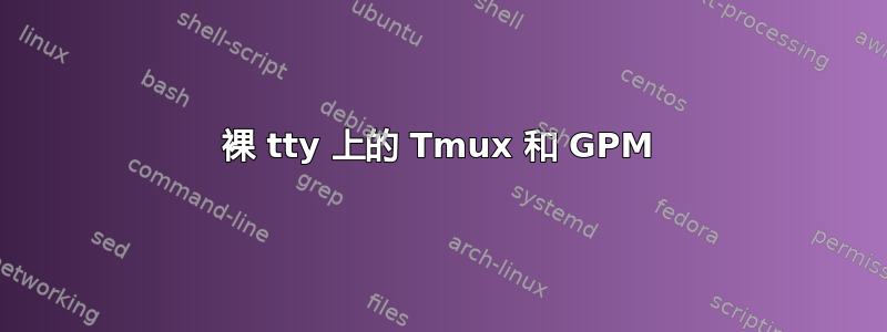 裸 tty 上的 Tmux 和 GPM