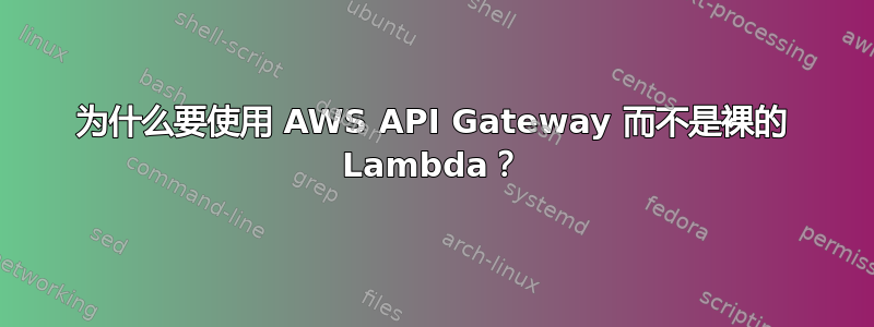 为什么要使用 AWS API Gateway 而不是裸的 Lambda？