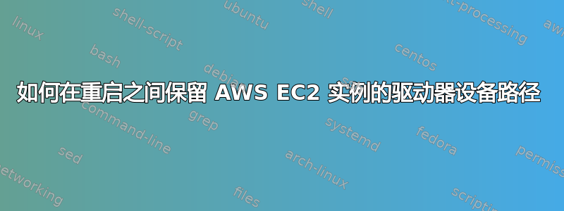 如何在重启之间保留 AWS EC2 实例的驱动器设备路径