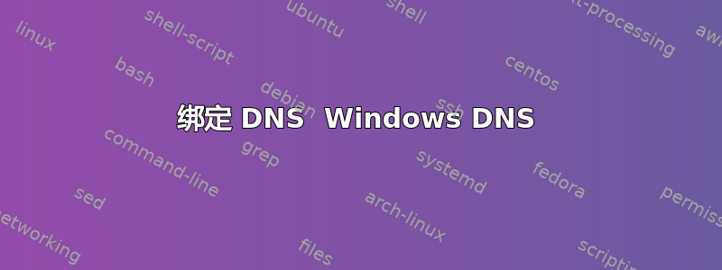 绑定 DNS  Windows DNS