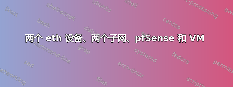 两个 eth 设备、两个子网、pfSense 和 VM