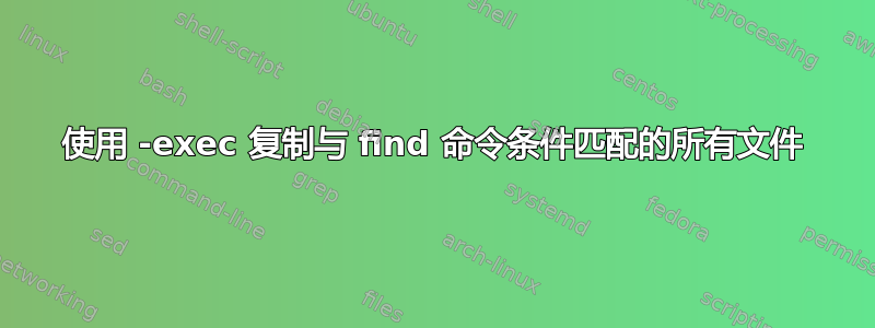 使用 -exec 复制与 find 命令条件匹配的所有文件