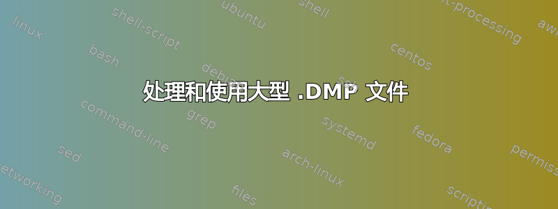 处理和使用大型 .DMP 文件