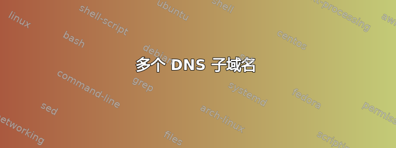 多个 DNS 子域名