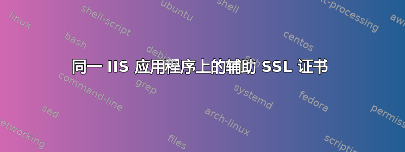 同一 IIS 应用程序上的辅助 SSL 证书