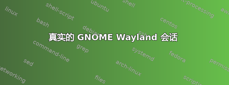 真实的 GNOME Wayland 会话