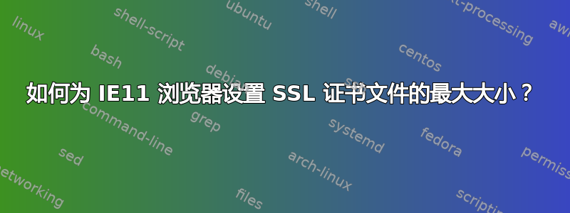 如何为 IE11 浏览器设置 SSL 证书文件的最大大小？