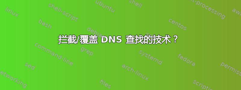 拦截/覆盖 DNS 查找的技术？