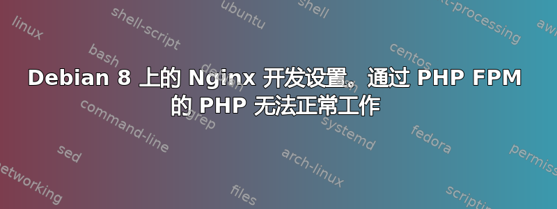 Debian 8 上的 Nginx 开发设置。通过 PHP FPM 的 PHP 无法正常工作