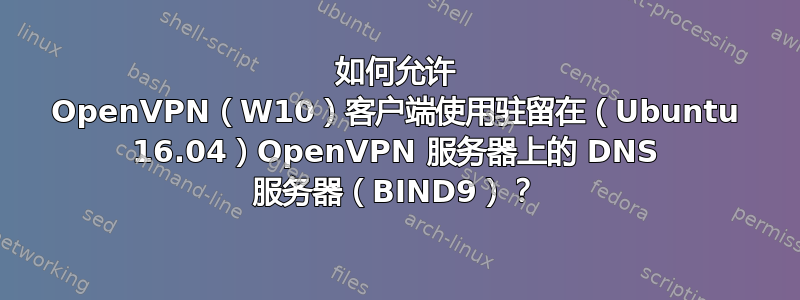 如何允许 OpenVPN（W10）客户端使用驻留在（Ubuntu 16.04）OpenVPN 服务器上的 DNS 服务器（BIND9）？