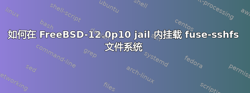 如何在 FreeBSD-12.0p10 jail 内挂载 fuse-sshfs 文件系统