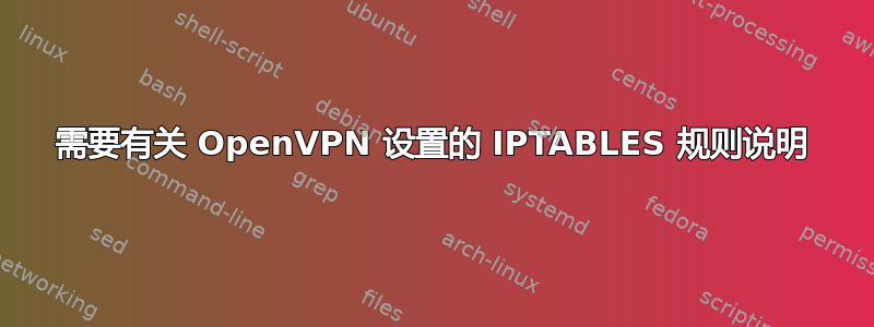 需要有关 OpenVPN 设置的 IPTABLES 规则说明