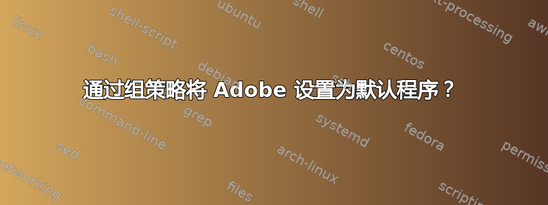 通过组策略将 Adob​​e 设置为默认程序？