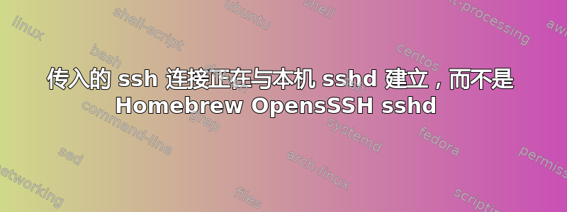 传入的 ssh 连接正在与本机 sshd 建立，而不是 Homebrew OpensSSH sshd 