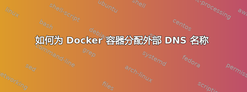 如何为 Docker 容器分配外部 DNS 名称