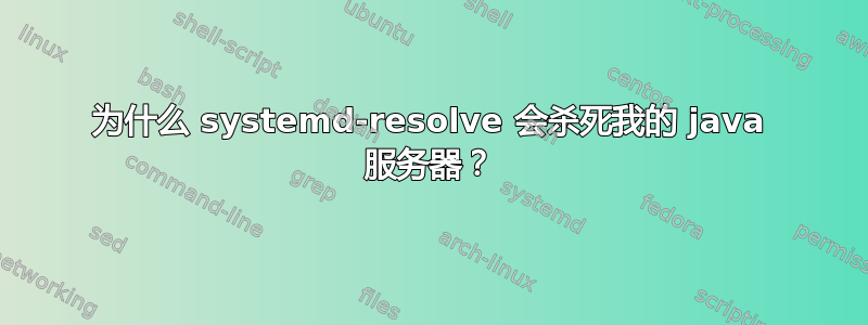 为什么 systemd-resolve 会杀死我的 java 服务器？