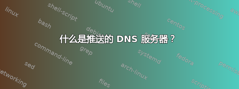 什么是推送的 DNS 服务器？