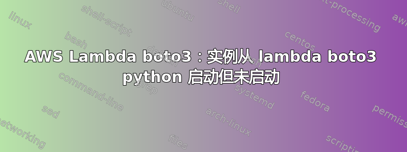 AWS Lambda boto3：实例从 lambda boto3 python 启动但未启动