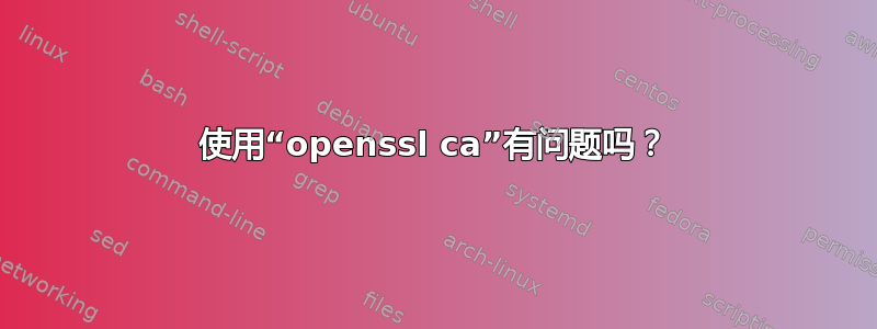 使用“openssl ca”有问题吗？